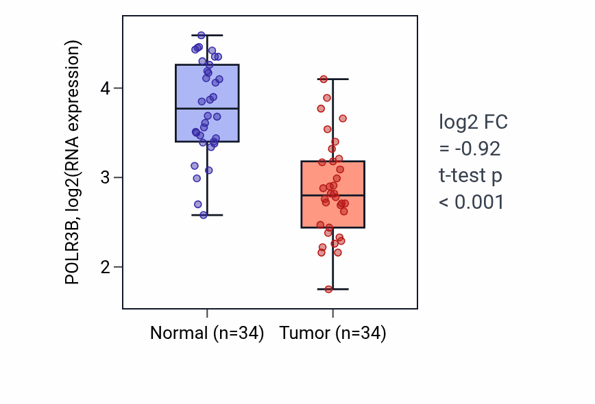 Tumor-vs-normal expression box plot for POLR3B RNA in KIRC.