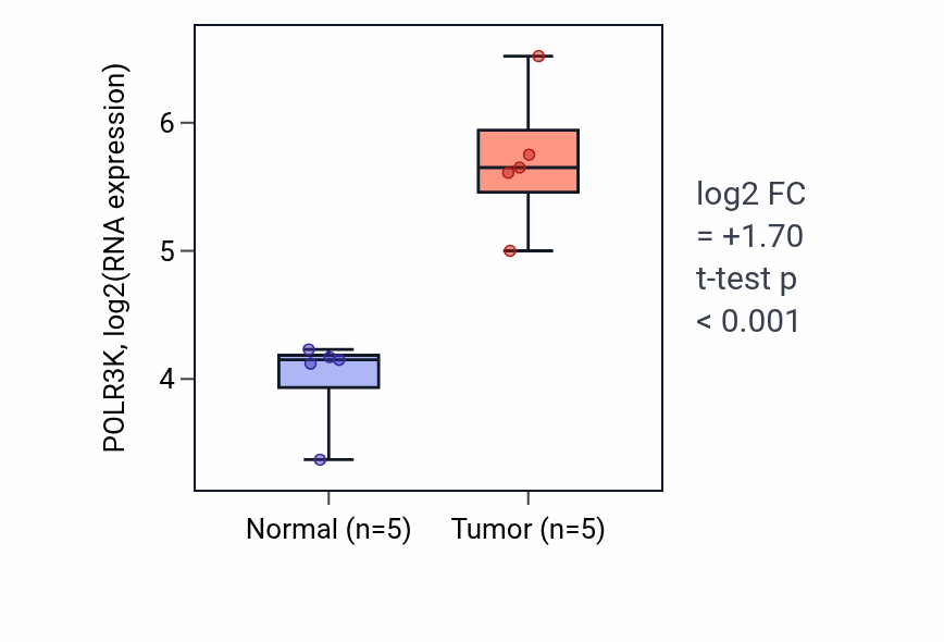 Tumor-vs-normal expression box plot for POLR3K RNA in COAD.