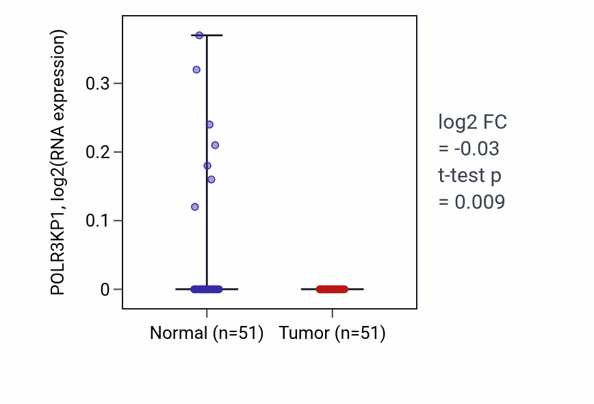 Tumor-vs-normal expression box plot for POLR3KP1 in KIRC.