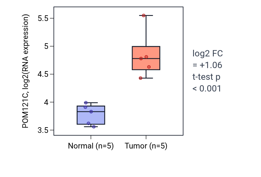 Tumor-vs-normal expression box plot for POM121C in KIRP.