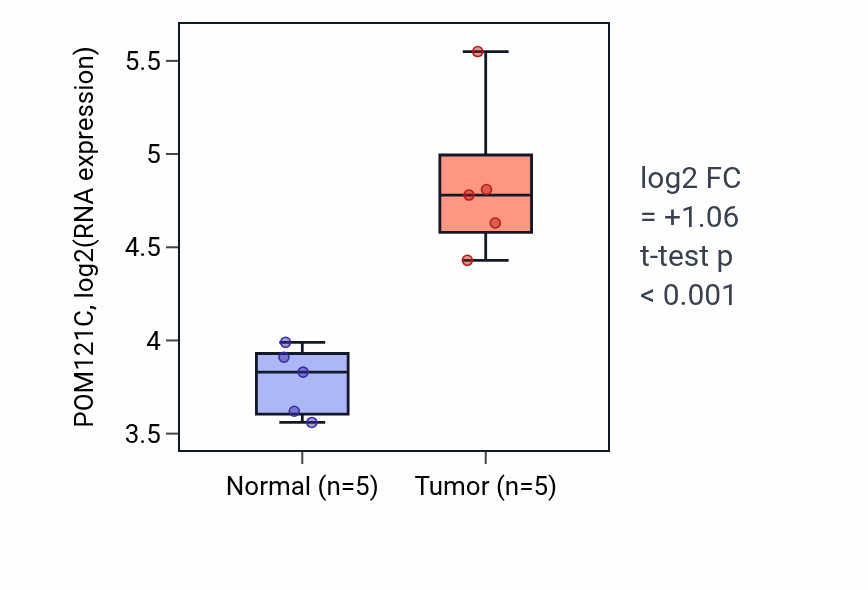 Tumor-vs-normal expression box plot for POM121C RNA in KIRP.