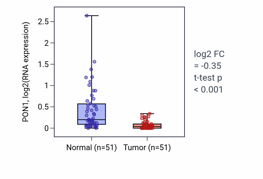 Tumor-vs-normal expression box plot for PON1 RNA in KIRC.