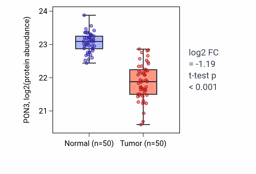 Tumor-vs-normal mass-spec protein box plot for PON3 in LSCC.
