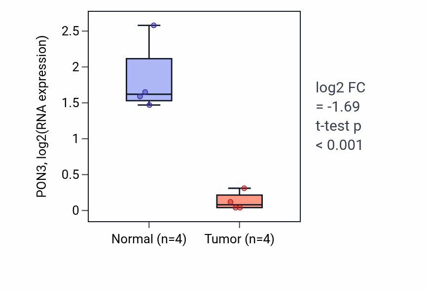 Tumor-vs-normal expression box plot for PON3 RNA in KIRP.