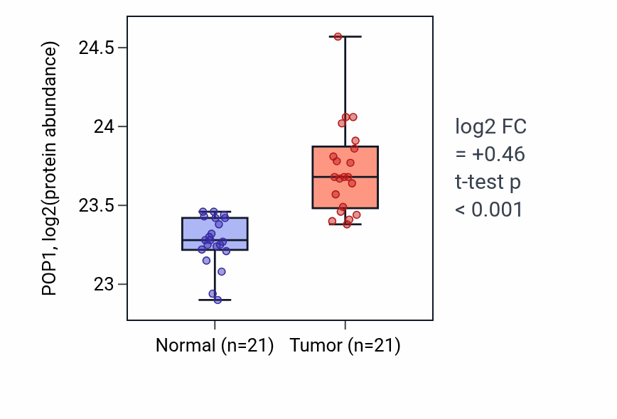 Tumor-vs-normal mass-spec protein box plot for POP1 in HNSC.