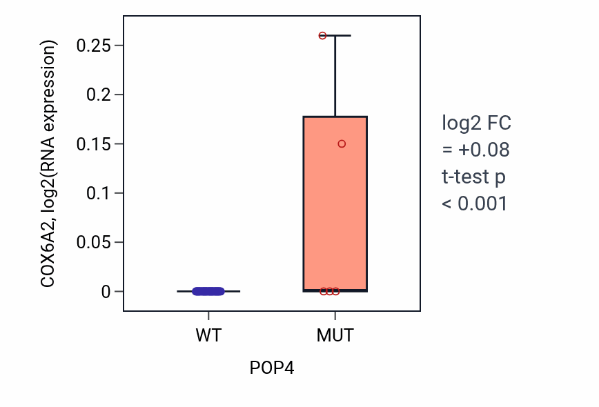 Box plot of COX6A2 in POP4-low vs POP4-high samples in LARGE_INTESTINE.