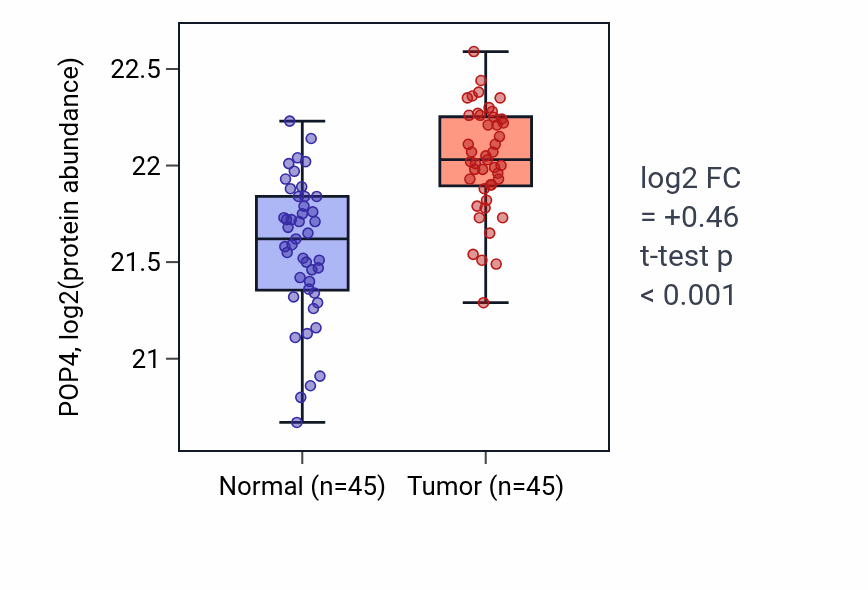 Tumor-vs-normal mass-spec protein box plot for POP4 in HNSC.