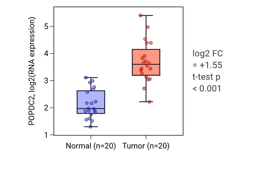 Tumor-vs-normal expression box plot for POPDC2 in KIRC.