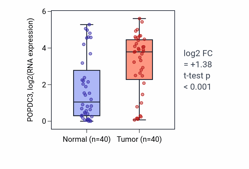Tumor-vs-normal expression box plot for POPDC3 RNA in HNSC.