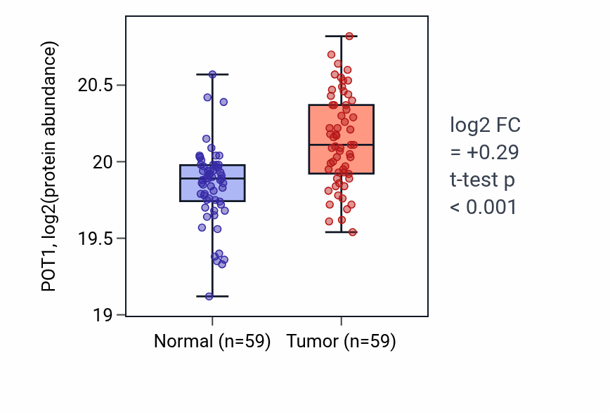 Tumor-vs-normal mass-spec protein box plot for POT1 in CCRCC.