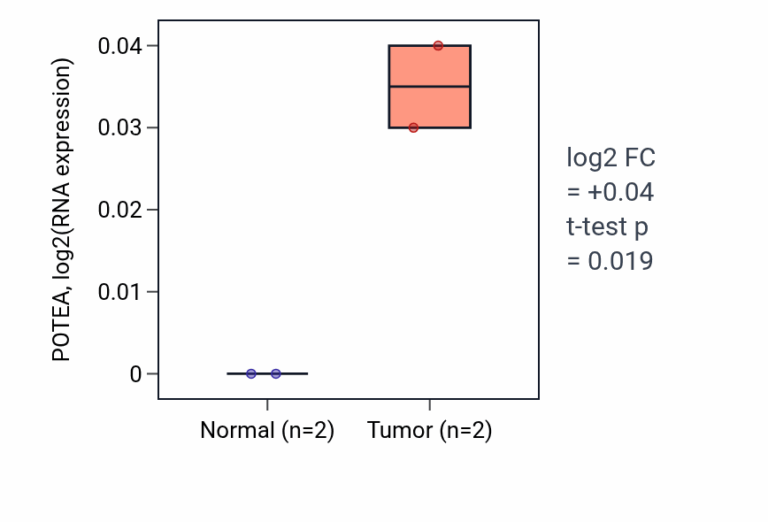Tumor-vs-normal expression box plot for POTEA in ESCA.