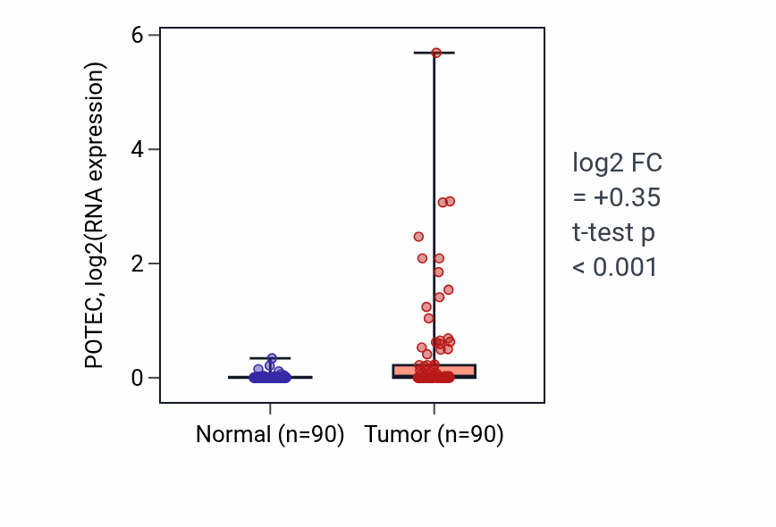 Tumor-vs-normal expression box plot for POTEC in BRCA.