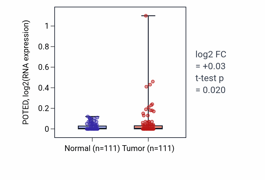 Tumor-vs-normal expression box plot for POTED in BRCA.