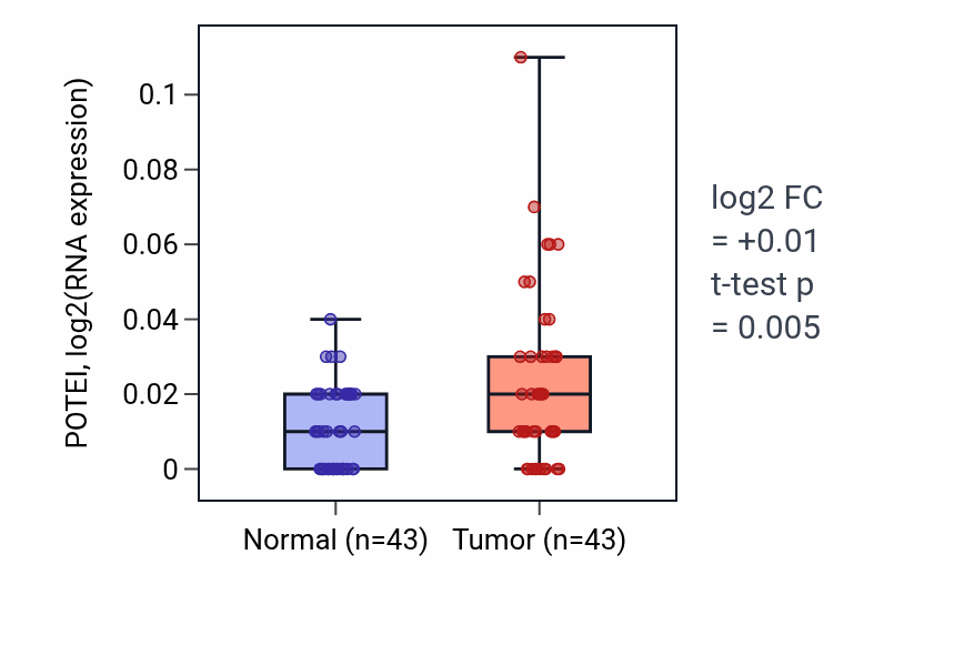Tumor-vs-normal expression box plot for POTEI in HNSC.