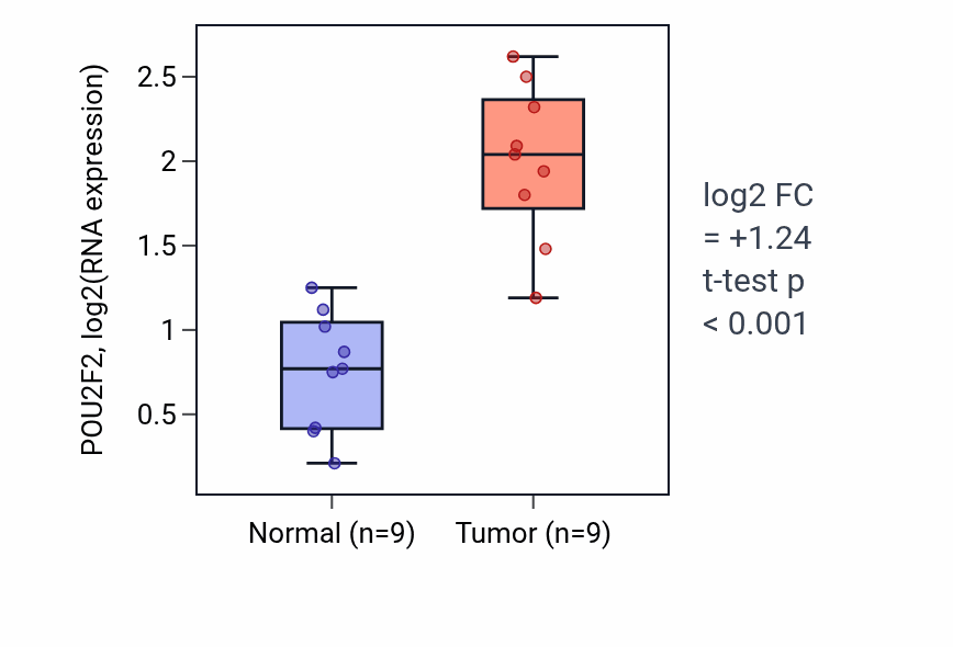Tumor-vs-normal expression box plot for POU2F2 RNA in HNSC.