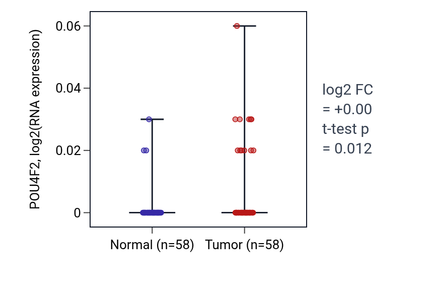 Tumor-vs-normal expression box plot for POU4F2 in THCA.