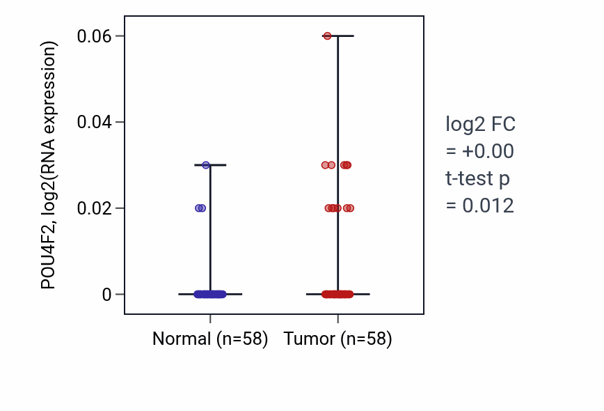 Tumor-vs-normal expression box plot for POU4F2 RNA in THCA.