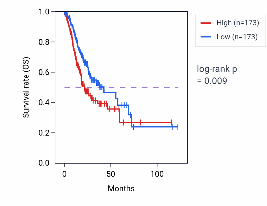 Kaplan&ndash;Meier survival curve for POU6F2-AS2 RNA expression in STAD: high vs low expression groups.