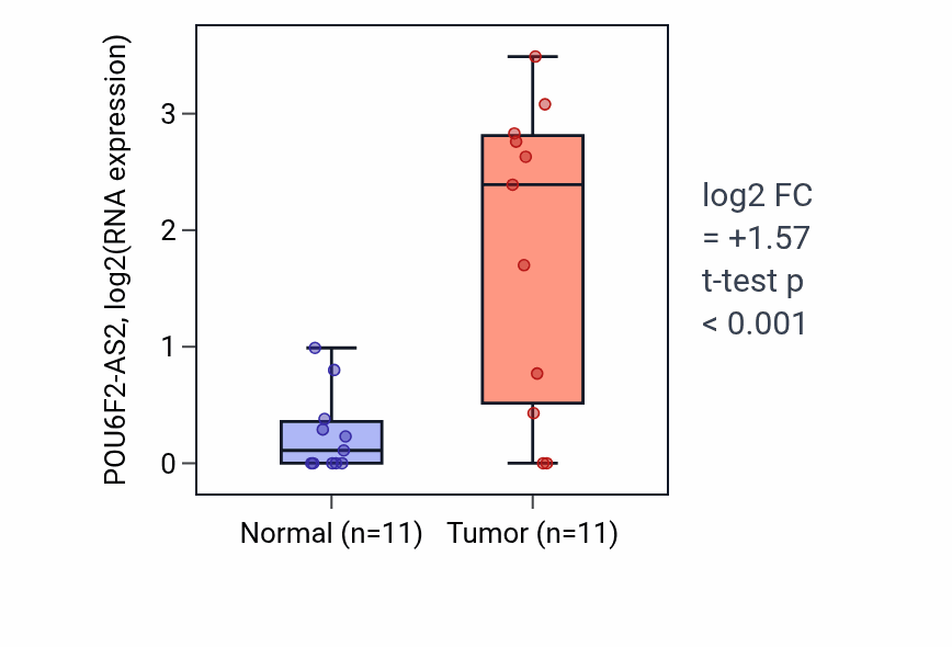 Tumor-vs-normal expression box plot for POU6F2-AS2 in HNSC.