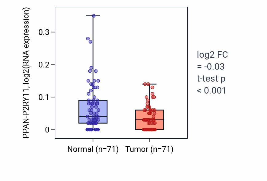 Tumor-vs-normal expression box plot for PPAN-P2RY11 RNA in KIRC.