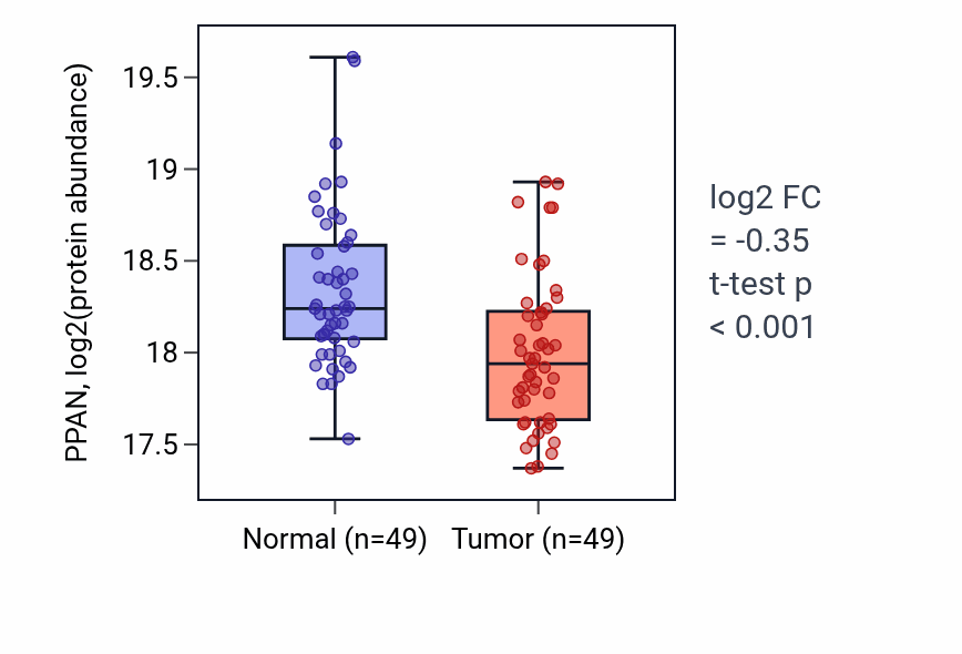 Tumor-vs-normal mass-spec protein box plot for PPAN in CCRCC.