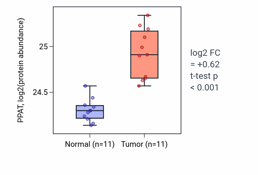 Tumor-vs-normal mass-spec protein box plot for PPAT in CCRCC.