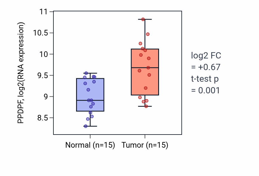 Tumor-vs-normal expression box plot for PPDPF RNA in KIRP.