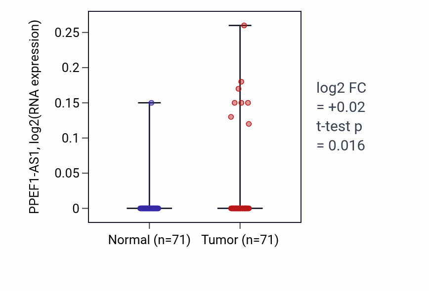 Tumor-vs-normal expression box plot for PPEF1-AS1 in KIRC.