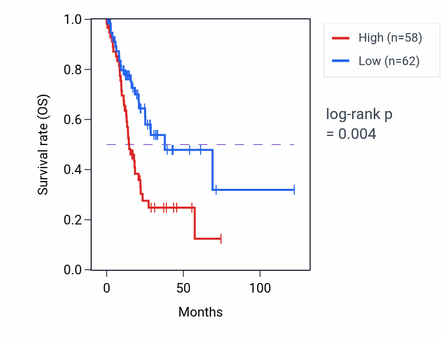 Kaplan&ndash;Meier survival curve for PPIAP7 RNA expression in STAD: high vs low expression groups.