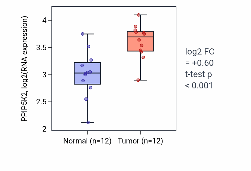 Tumor-vs-normal expression box plot for PPIP5K2 RNA in KIRC.
