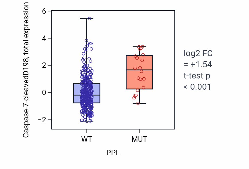 Box plot of Caspase-7-cleavedD198 in PPL-low vs PPL-high samples in COAD.