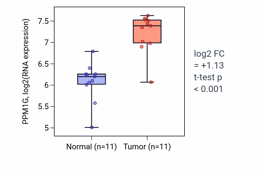 Tumor-vs-normal expression box plot for PPM1G RNA in HNSC.