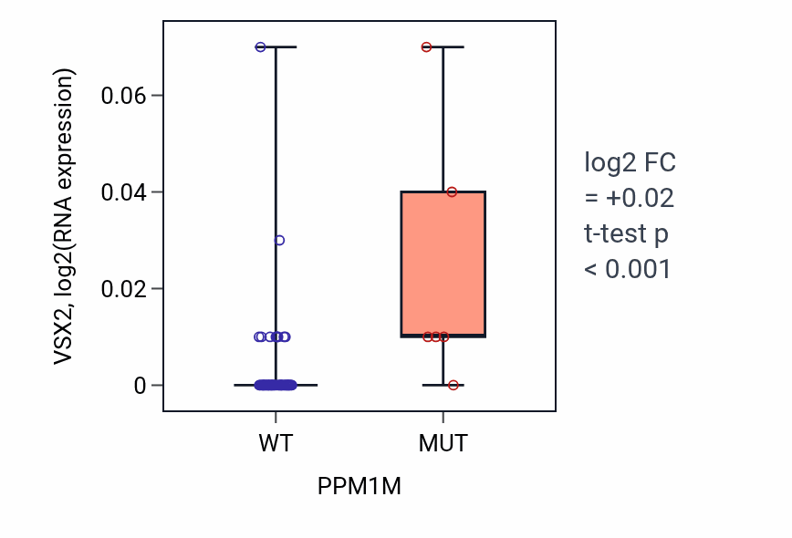 Box plot of VSX2 in PPM1M-low vs PPM1M-high samples in LARGE_INTESTINE.