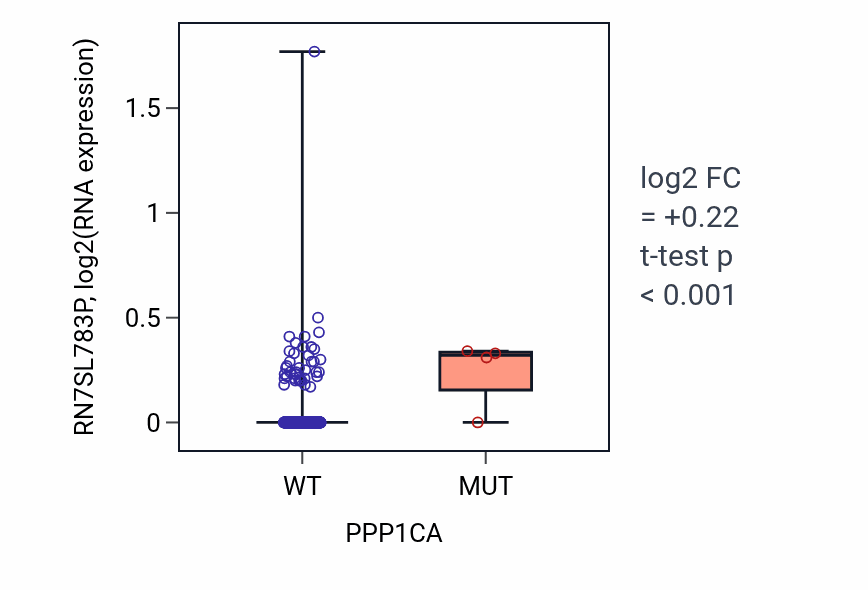 Box plot of RN7SL783P in PPP1CA-low vs PPP1CA-high samples in LUSC.