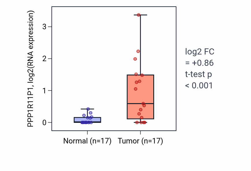 Tumor-vs-normal expression box plot for PPP1R11P1 in HNSC.
