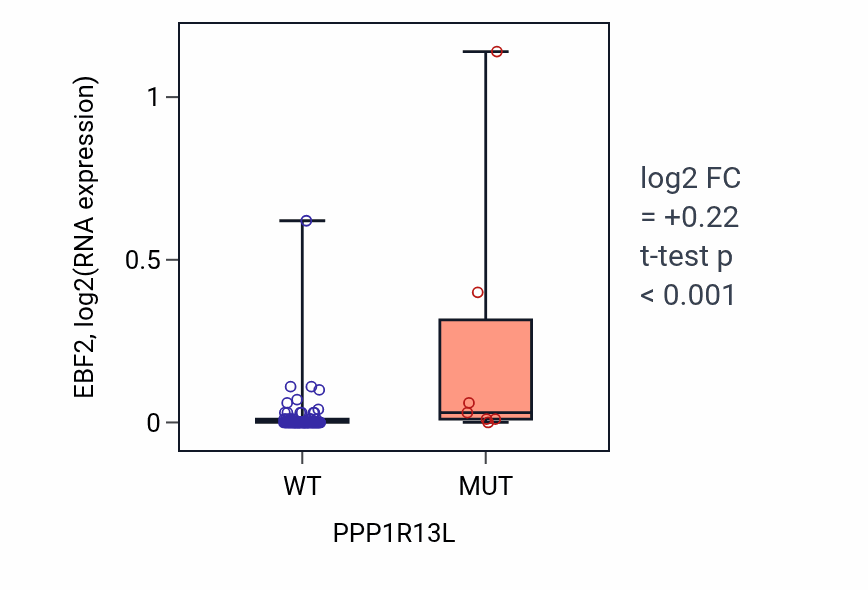 Box plot of EBF2 in PPP1R13L-low vs PPP1R13L-high samples in BLOOD_Leukemia.