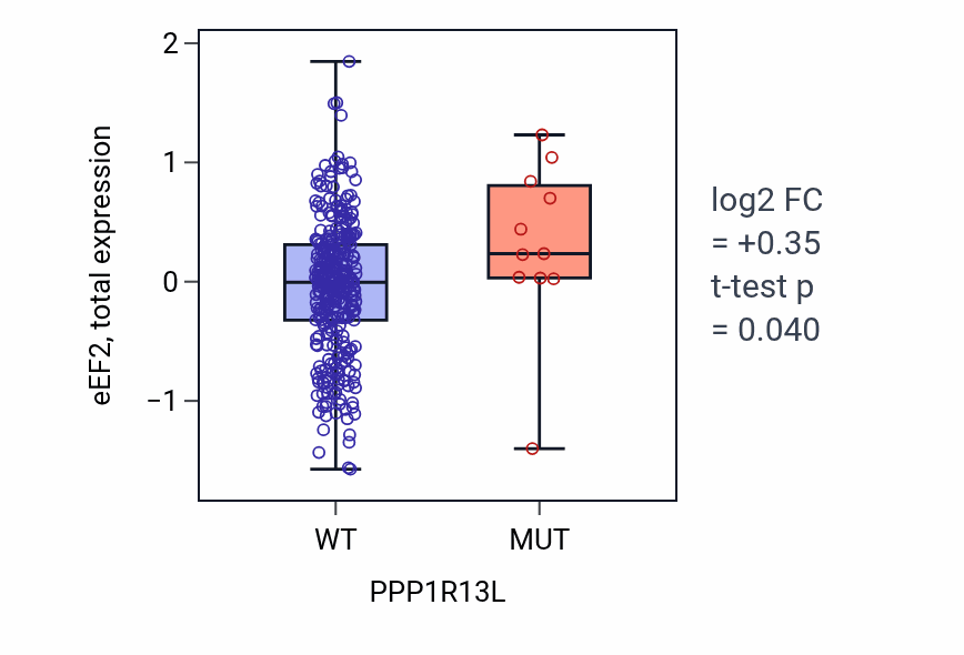 Box plot of eEF2 in PPP1R13L-low vs PPP1R13L-high samples in SKCM.