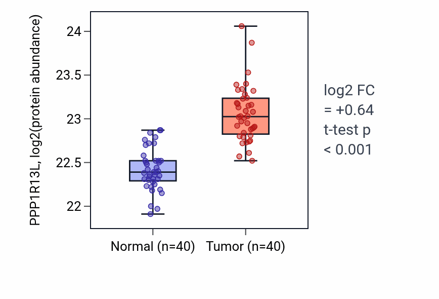 Tumor-vs-normal mass-spec protein box plot for PPP1R13L in COAD.