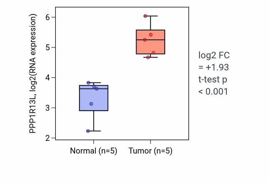 Tumor-vs-normal expression box plot for PPP1R13L RNA in COAD.