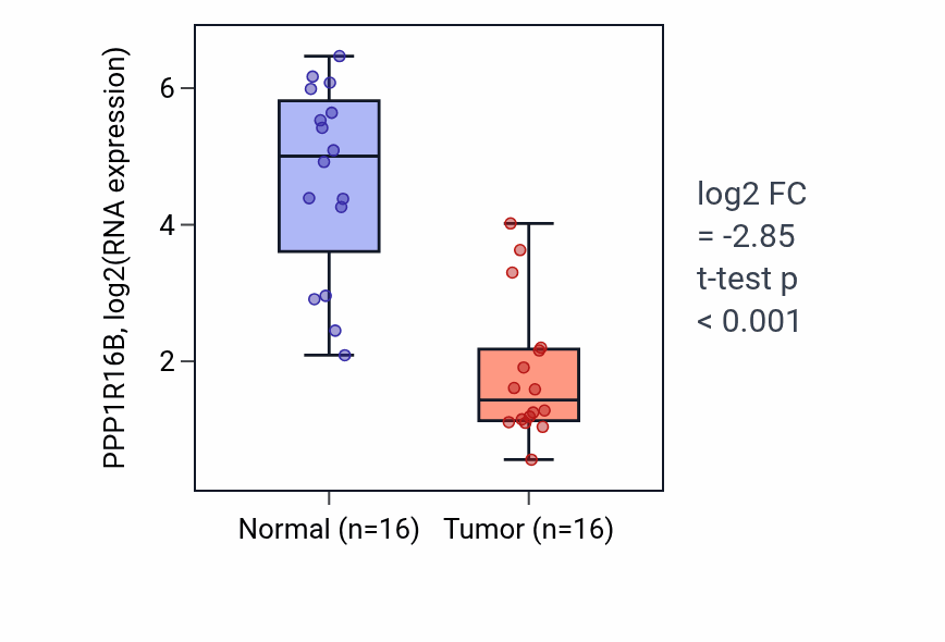Tumor-vs-normal expression box plot for PPP1R16B RNA in KIRP.