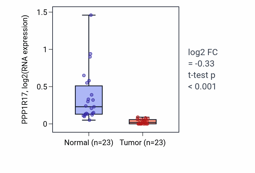 Tumor-vs-normal expression box plot for PPP1R17 in LUSC.