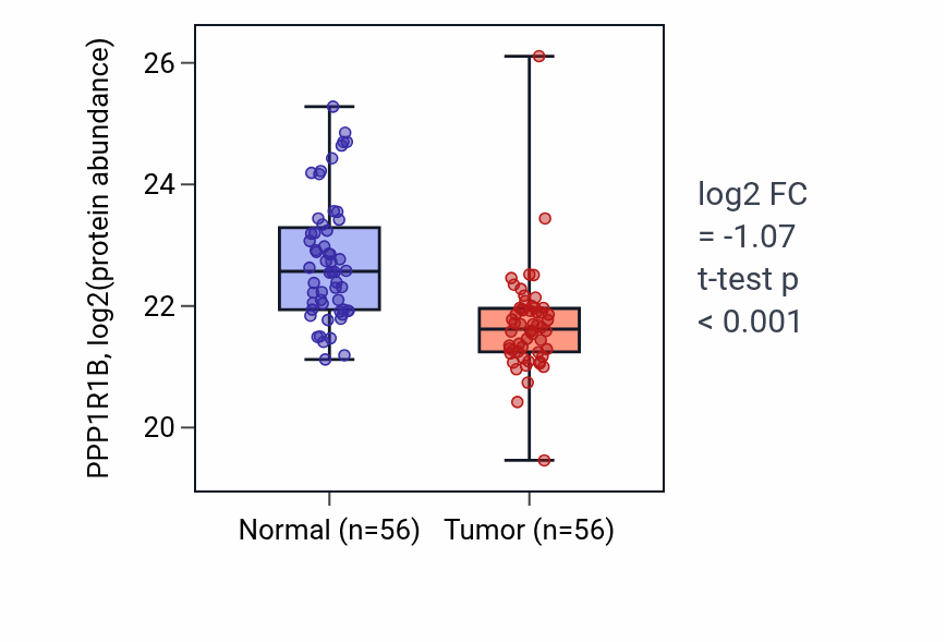 Tumor-vs-normal mass-spec protein box plot for PPP1R1B in HNSC.