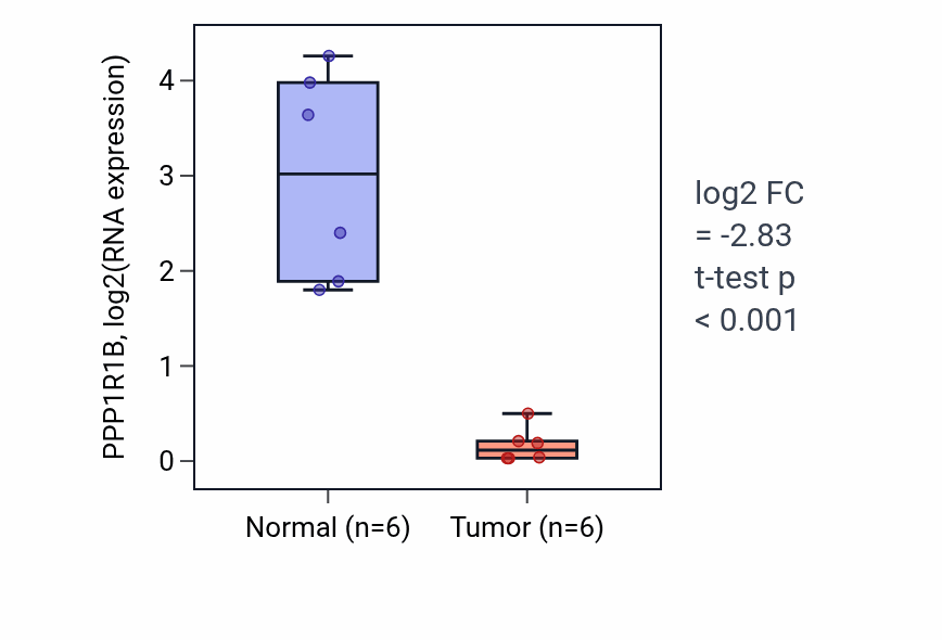 Tumor-vs-normal expression box plot for PPP1R1B RNA in KIRC.
