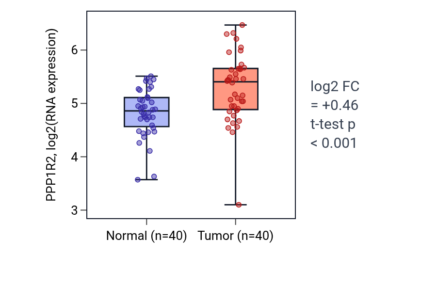 Tumor-vs-normal expression box plot for PPP1R2 in HNSC.
