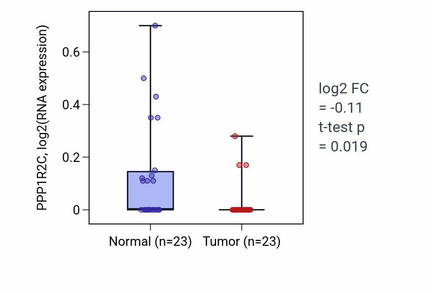 Tumor-vs-normal expression box plot for PPP1R2C in THCA.