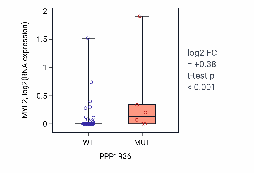Box plot of MYL2 in PPP1R36-low vs PPP1R36-high samples in BLOOD_Leukemia.