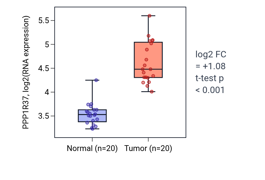 Tumor-vs-normal expression box plot for PPP1R37 in KIRC.