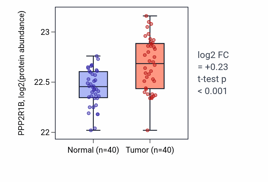 Tumor-vs-normal mass-spec protein box plot for PPP2R1B in COAD.