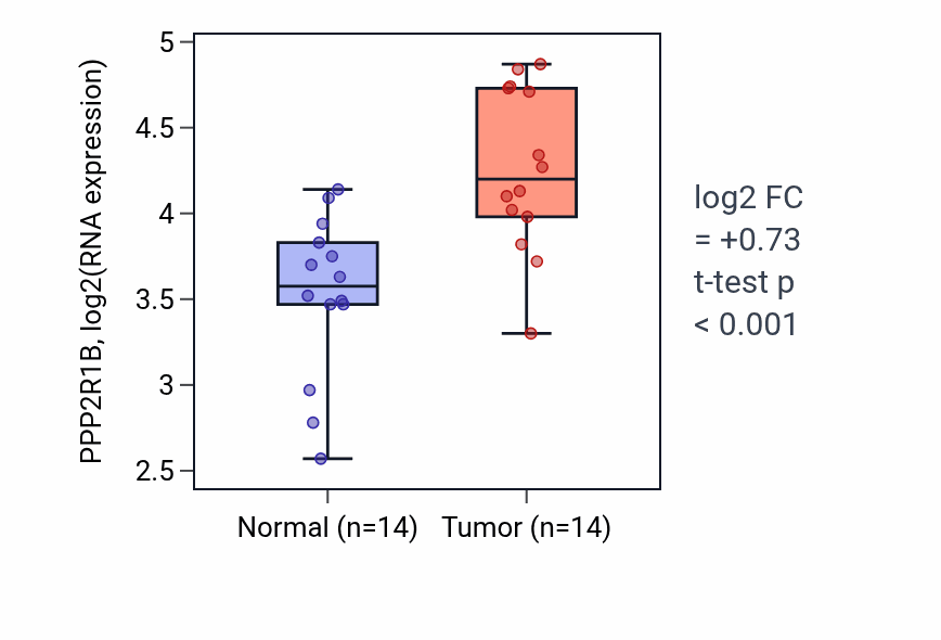 Tumor-vs-normal expression box plot for PPP2R1B RNA in BLCA.