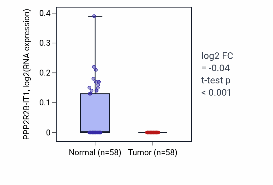 Tumor-vs-normal expression box plot for PPP2R2B-IT1 in THCA.